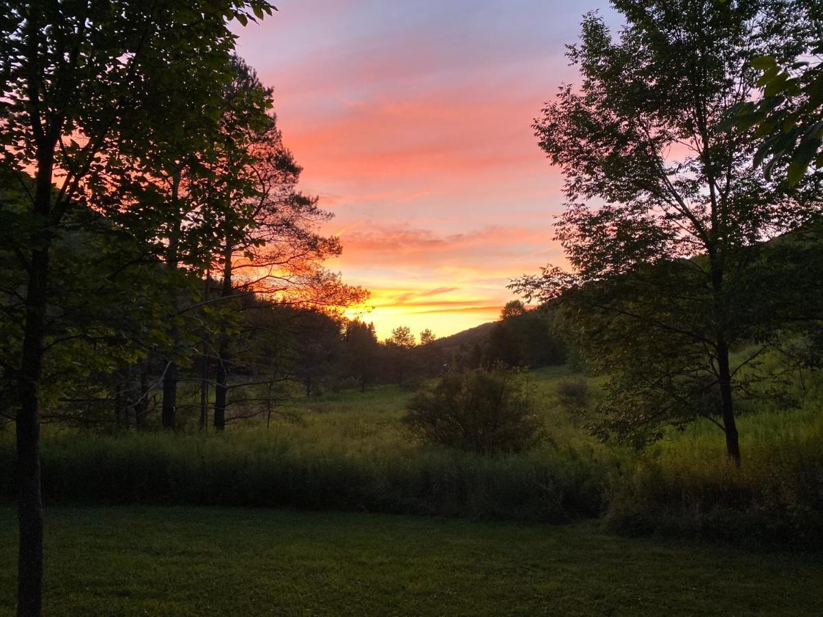 Maples Retreat - 2 Acres - Sleeps 10 Hébergement de vacances